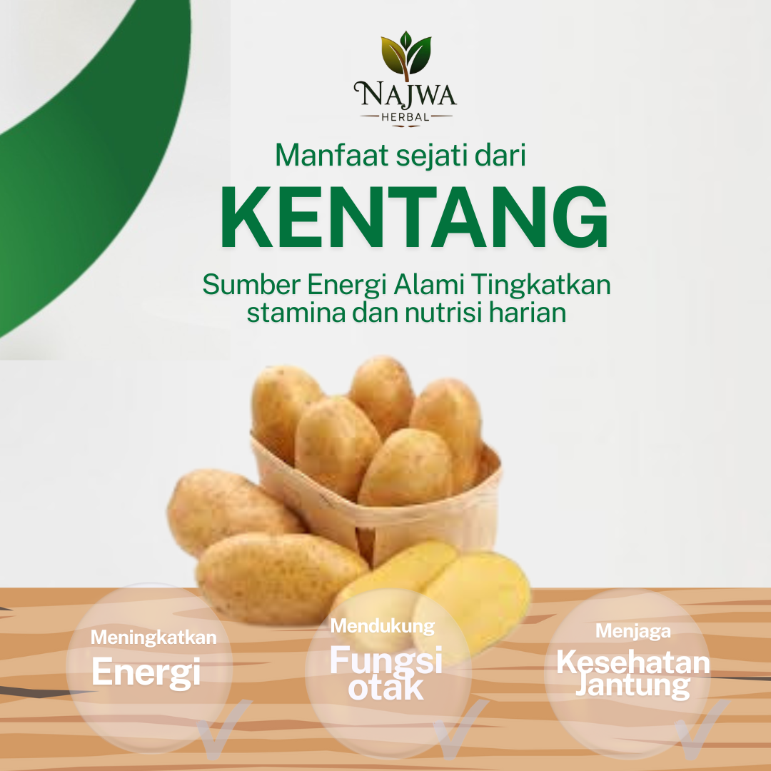 KENTANG ASLI DARI DIENG